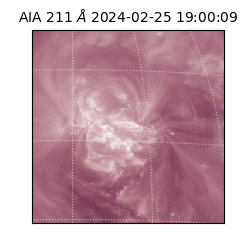 saia - 2024-02-25T19:00:09.626000