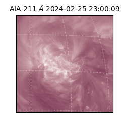 saia - 2024-02-25T23:00:09.629000