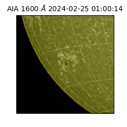 saia - 2024-02-25T01:00:14.125000