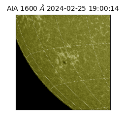 saia - 2024-02-25T19:00:14.126000