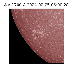 saia - 2024-02-25T06:00:28.717000