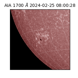 saia - 2024-02-25T08:00:28.717000