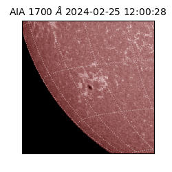 saia - 2024-02-25T12:00:28.717000