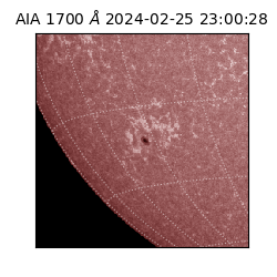 saia - 2024-02-25T23:00:28.717000