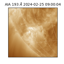 saia - 2024-02-25T09:00:04.843000