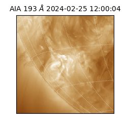 saia - 2024-02-25T12:00:04.843000