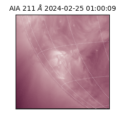 saia - 2024-02-25T01:00:09.633000