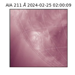 saia - 2024-02-25T02:00:09.626000
