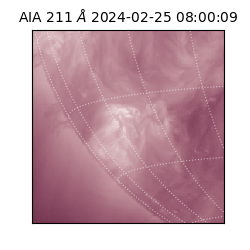 saia - 2024-02-25T08:00:09.626000