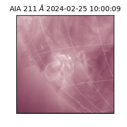 saia - 2024-02-25T10:00:09.626000