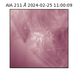 saia - 2024-02-25T11:00:09.630000