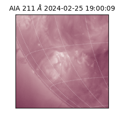 saia - 2024-02-25T19:00:09.626000