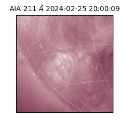 saia - 2024-02-25T20:00:09.630000