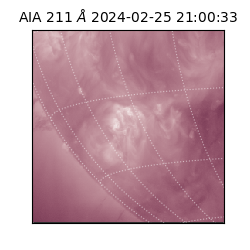 saia - 2024-02-25T21:00:33.632000