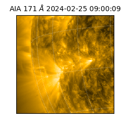 saia - 2024-02-25T09:00:09.350000
