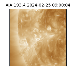 saia - 2024-02-25T09:00:04.843000