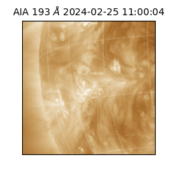 saia - 2024-02-25T11:00:04.843000