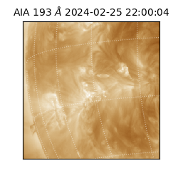 saia - 2024-02-25T22:00:04.843000