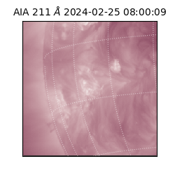 saia - 2024-02-25T08:00:09.626000