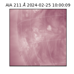 saia - 2024-02-25T10:00:09.626000