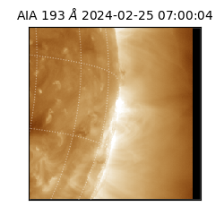 saia - 2024-02-25T07:00:04.843000