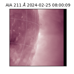 saia - 2024-02-25T08:00:09.626000