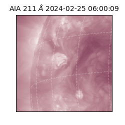 saia - 2024-02-25T06:00:09.626000