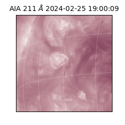 saia - 2024-02-25T19:00:09.626000