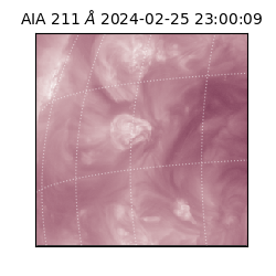 saia - 2024-02-25T23:00:09.629000