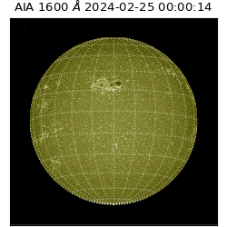 saia - 2024-02-25T00:00:14.126000