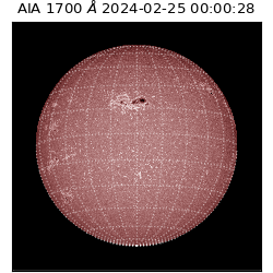 saia - 2024-02-25T00:00:28.717000