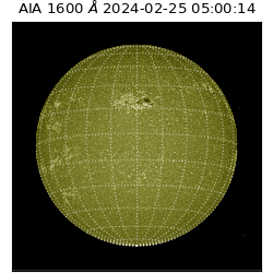 saia - 2024-02-25T05:00:14.126000
