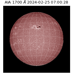 saia - 2024-02-25T07:00:28.717000