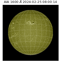 saia - 2024-02-25T08:00:14.129000