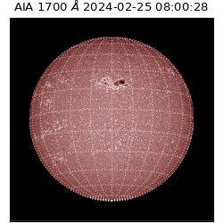 saia - 2024-02-25T08:00:28.717000