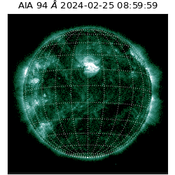 saia - 2024-02-25T08:59:59.122000