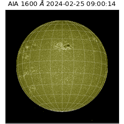 saia - 2024-02-25T09:00:14.125000