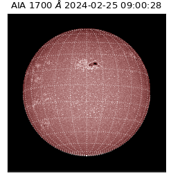 saia - 2024-02-25T09:00:28.717000