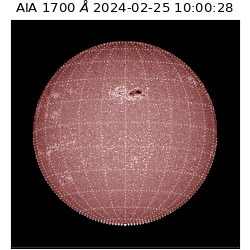 saia - 2024-02-25T10:00:28.717000