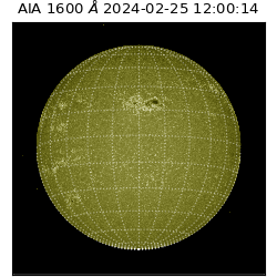 saia - 2024-02-25T12:00:14.129000