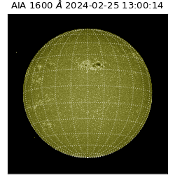 saia - 2024-02-25T13:00:14.125000