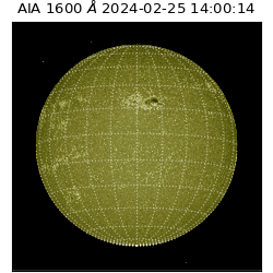 saia - 2024-02-25T14:00:14.129000