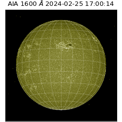 saia - 2024-02-25T17:00:14.130000