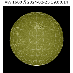 saia - 2024-02-25T19:00:14.126000