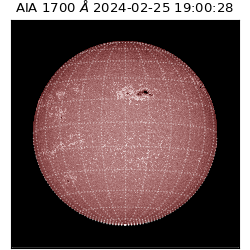 saia - 2024-02-25T19:00:28.717000