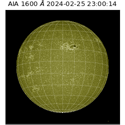 saia - 2024-02-25T23:00:14.132000