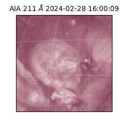 saia - 2024-02-28T16:00:09.630000