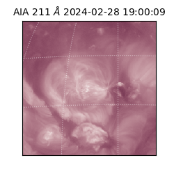 saia - 2024-02-28T19:00:09.631000