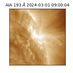 saia - 2024-03-01T09:00:04.843000