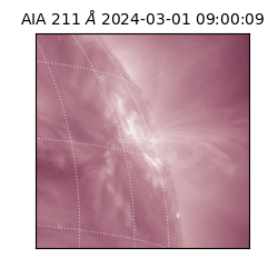 saia - 2024-03-01T09:00:09.626000